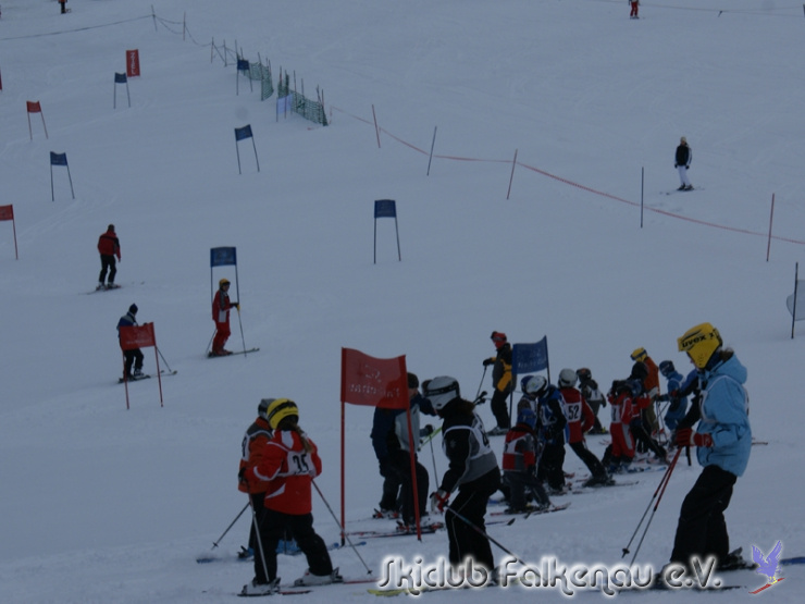Slalom20100130_