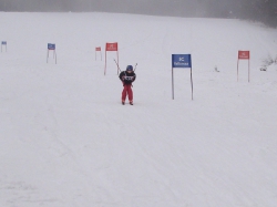 Riesenslalom am 22.02.2009