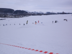 Slalom201001312_21