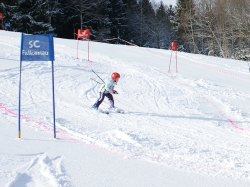 Slalom20100130_