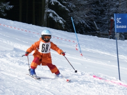 Slalom20100130_