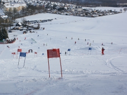 Slalom20100130_