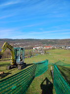 Frühling_4