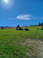 Frühling_5